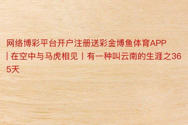 网络博彩平台开户注册送彩金博鱼体育APP | 在空中与马虎相见丨有一种叫云南的生涯之365天