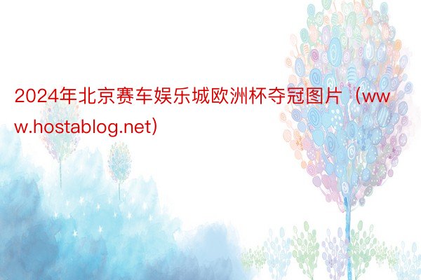 2024年北京赛车娱乐城欧洲杯夺冠图片（www.hostablog.net）