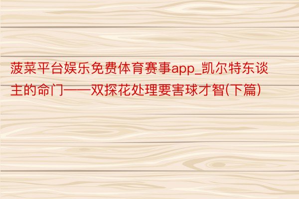菠菜平台娱乐免费体育赛事app_凯尔特东谈主的命门——双探花处理要害球才智(下篇)