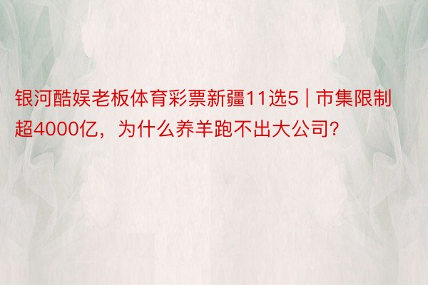 银河酷娱老板体育彩票新疆11选5 | 市集限制超4000亿，为什么养羊跑不出大公司？
